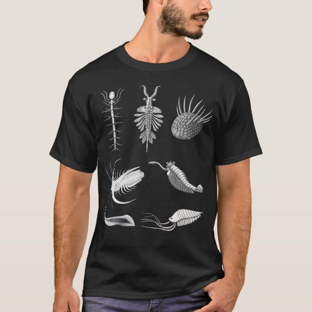 Cambrian Creatures Fossil Paleoart Evolution Scien T-Shirt (Front)