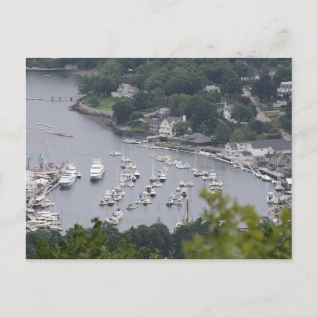 Camden Harbour Postcard (Front)