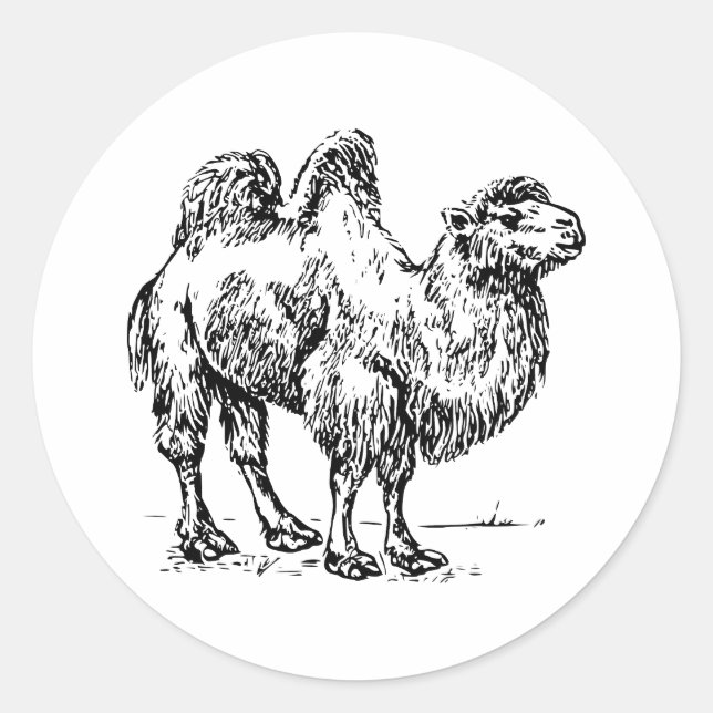 Camel 1 classic round sticker (Front)