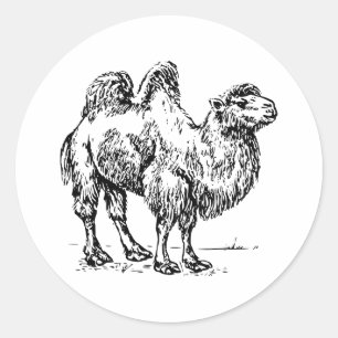 Camel 1 classic round sticker