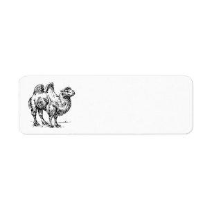 Camel 1 return address label
