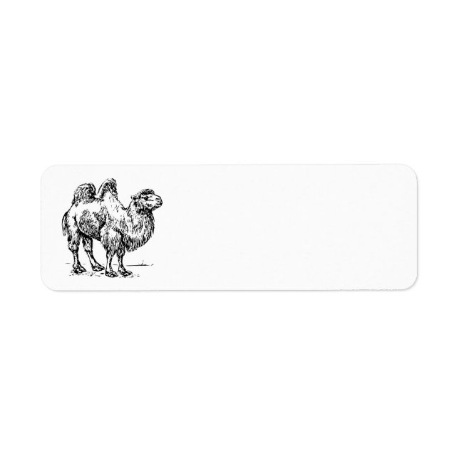 Camel 1 return address label (Front)