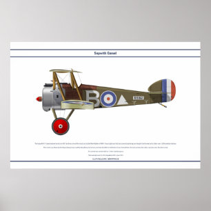 Camel 43 Sqn Poster