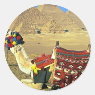Camel and pyramids, Cairo, Egypt Classic Round Sticker