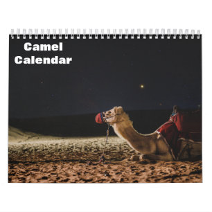 Camel Calendar