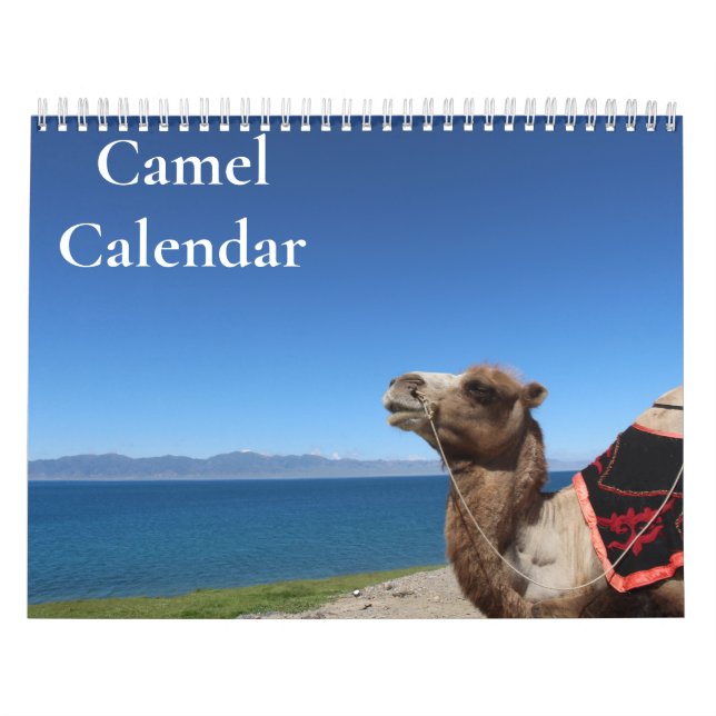 Camel Calendar 2026 (Cover)