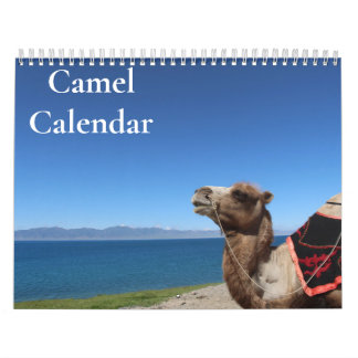 Camel Calendar 2026