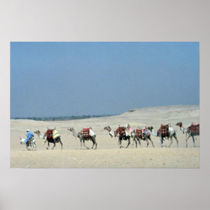 Camel caravan crossing the Sahara Poster