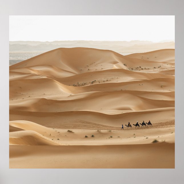 Camel caravan, Sahara sunset, Morocco Poster (Front)