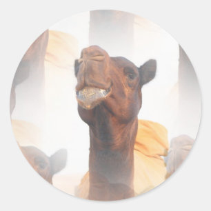 Camel Collage Stickers