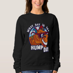 Camel Cool Hump Day Hump Day Camel Big Teeth Came Sweatshirt