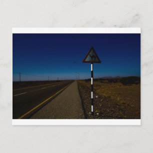 Camel crossing postcard