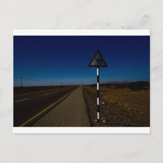 Camel crossing postcard