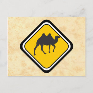 Camel Crossing Postcard