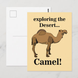 Camel Desert Animal Funny Postcard