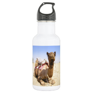 Camel Desert Middle East Peace Love Nature Destiny 532 Ml Water Bottle