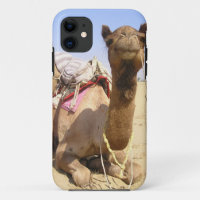 Camel Desert Middle East Peace Love Nature Destiny