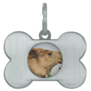 Camel Desert Middle East Peace Love Nature Destiny Pet Tag
