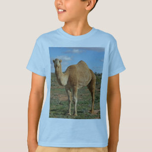 Camel Desert Middle East Peace Love Nature Destiny T-Shirt