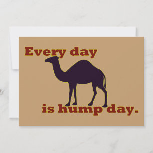 Funny Camel Jokes Cards | Zazzle AU