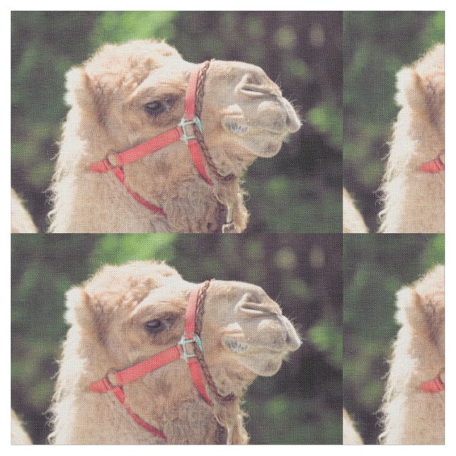 Camel fabric (Close Up)