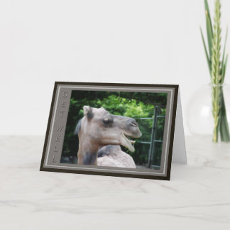 Camel Face Get Well Wishes Card