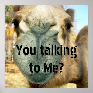 Camel Face, You talking to Me? Poster