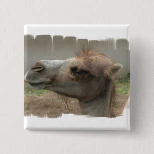 Camel Head Button