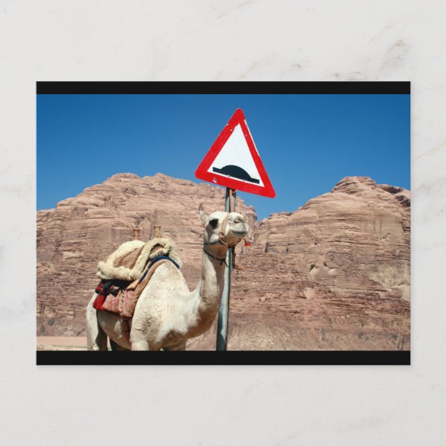 camel hump border postcard (Front)