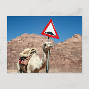camel hump jordan postcard