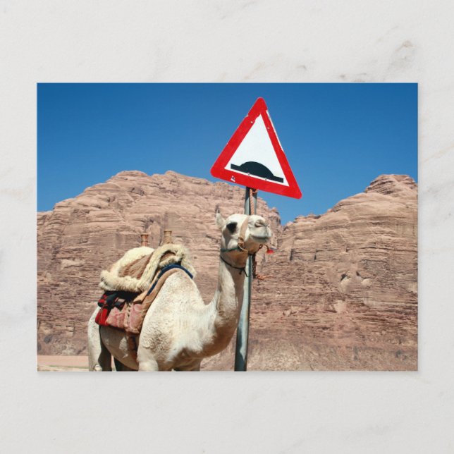 camel hump jordan postcard (Front)