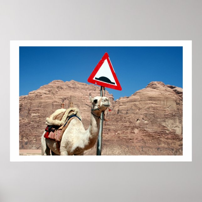 camel hump wadi rum poster (Front)