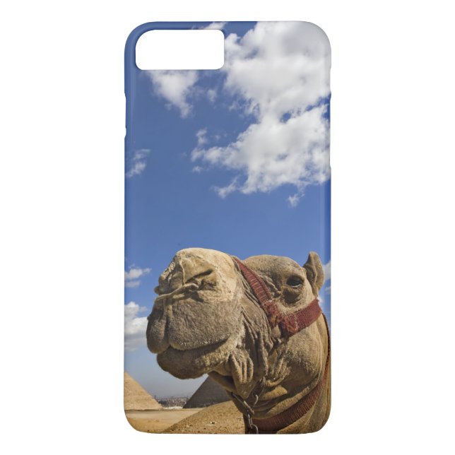 Camel in front of the pyramids of Giza, Egypt, Case-Mate iPhone Case (Back)