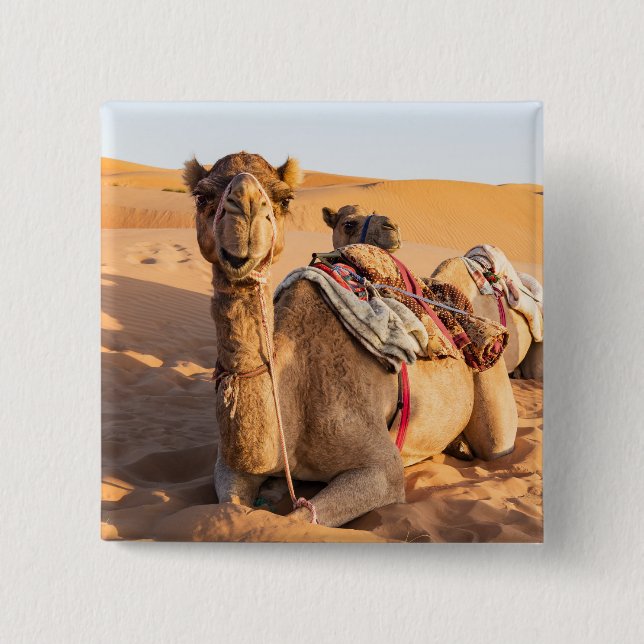 Camel in Oman desert 15 Cm Square Badge (Front)