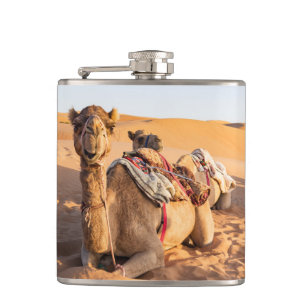 Camel in Oman desert Hip Flask