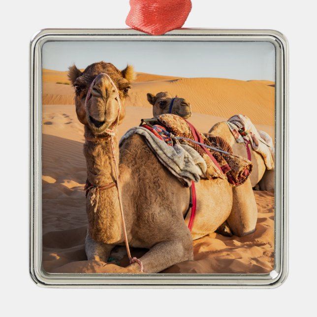 Camel in Oman desert Metal Ornament (Front)