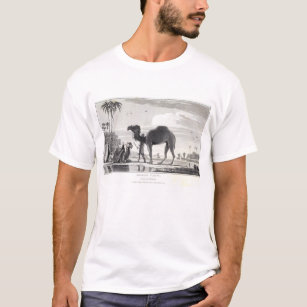 Camel in the Oasis Vintage Etching Morocco Tunisia T-Shirt