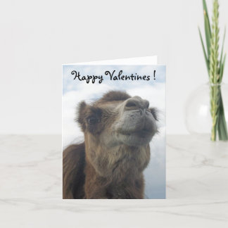 Camel kiss holiday card