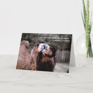 Camel Kiss poster Holiday Card