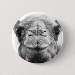 Camel Kisses Fun Closeup Photo 6 Cm Round Badge