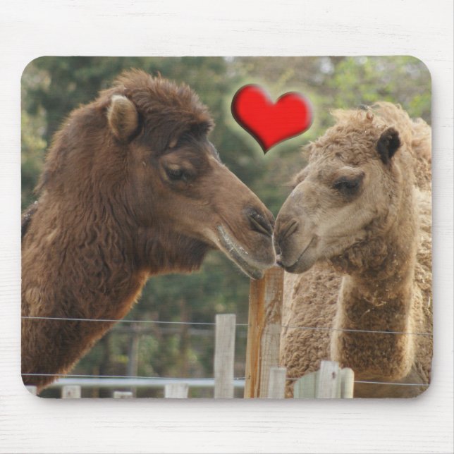Camel LOVE - NO BOUNDARIES Mouse Pad (Front)