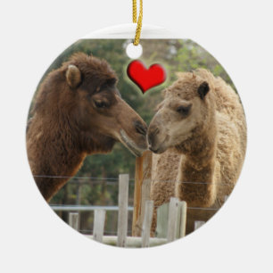 CAMEL LOVE ORNAMENT