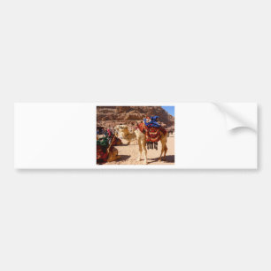 Camel Middle East Nature Animals Destiny Gifts Bumper Sticker