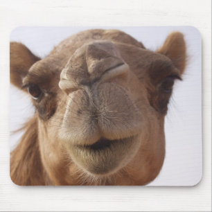 Camel Mouse Pad