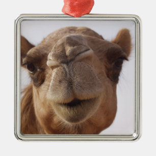 Camel Ornament