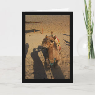 Camel Photoshoot Card