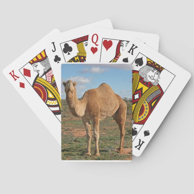 Camel Playing Cards (Back)