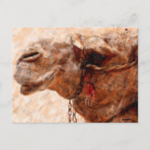 camel postcard