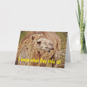 Camel Punny Humppy Birthday Card