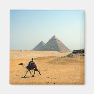 camel pyramid magnet